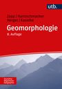 Harald Zepp: Geomorphologie, Buch