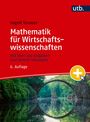 "Mathematik für Wirtschaftswissenschaften". Rote Abdeckung, Bild einer steinernen Bogenbrücke über klarem Wasser darunter.
