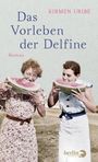 Kirmen Uribe: Das Vorleben der Delfine, Buch