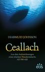 Diarmuid Johnson: Ceallach - Aus den Aufzeichnungen eines irischen Wandermönchs AD 590-620, Buch