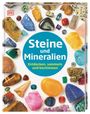 Devin Dennie: Steine und Mineralien, Buch