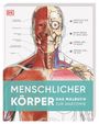 "MENSCHLICHER KÖRPER: DAS MALBUCH ZUR ANATOMIE." Halb illustriertes Gesicht mit Muskeln und Skelett. DK-Logo oben links.