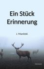 Janett Manitzki: Ein Stück Erinnerung, Buch