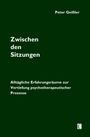 Peter Geißler: Zwischen den Sitzungen. Alltägliche Erfahrungsräume zur Vertiefung psychotherapeutischer Prozesse, Buch