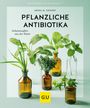 Aruna M. Siewert: Pflanzliche Antibiotika, Buch