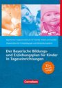 : Der Bayerische Bildungs- und Erziehungsplan für Kinder in Tageseinrichtungen, Buch