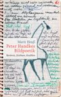 Marit Heuß: Peter Handkes Bildpoetik, Buch