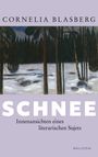 Cornelia Blasberg: Schnee, Buch