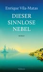 Enrique Vila-Matas: Dieser sinnlose Nebel, Buch