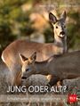 Bruno Hespeler: Jung oder alt?, Buch
