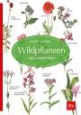 Claus Caspari: Wildpflanzen neu entdecken, Buch