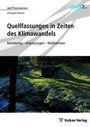 Christoph Treskatis: Quellfassungen in Zeiten des Klimawandels, Buch