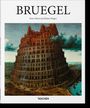 Rainer Hagen: Bruegel, Buch