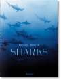Philippe Cousteau: Michael Muller. Sharks, Buch