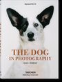 Ein Buchcover mit einem Hund. Text: "THE DOG IN PHOTOGRAPHY 1839–TODAY". Oben steht "Raymond Merritt." Darunter: "TASCHEN".