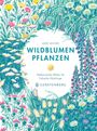 Jane Moore: Wildblumen pflanzen, Buch