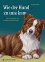 Lena Zeise: Wie der Hund zu uns kam, Buch