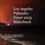 Cristina Berna: Los Angeles Palisades Feuer 2025 Bilderbuch, Buch