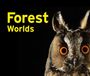 : Forest Worlds, Buch