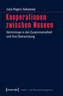 Julia Hilgers-Sekowsky: Kooperationen zwischen Museen, Buch
