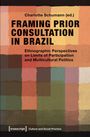 Charlotte Schumann: Framing Prior Consultation in Brazil, Buch