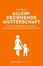 Anna Kasten: Alleinerziehende Mutterschaft, Buch