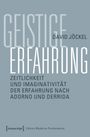 David Jöckel: Geistige Erfahrung, Buch