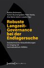 Robuste Langzeit-Governance bei der Endlagersuche, Buch