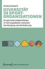 „Annika Schwark: Diversität in Sportorganisationen. Strukturelle Ungleichheiten...“ In der Mitte farbige geometrische Formen.