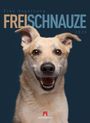 Elke Vogelsang: Frei Schnauze - Kalender 2026, KAL