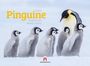 Ackermann Kunstverlag GmbH: Pinguine Kalender 2026, KAL