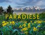 „GEHEIME PARADIESE 2027“. Gelbe Blumen vor schneebedeckten Bergen und Wäldern. Unten ein Logo mit Text „ACKERMANN“.