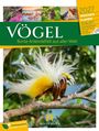 "VÖGEL: Bunte Artenvielfalt aus aller Welt. 2027 WOCHEN PLANER, 53 BLATT." Illustration eines bunten Vogels auf einem Ast.