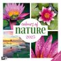 Ackermann Kunstverlag: Colours of Nature Kalender 2025 - 30x30, KAL