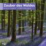 Ackermann Kunstverlag: Zauber des Waldes Kalender 2025 - 30x30, KAL