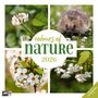 Ackermann Kunstverlag GmbH: Colours of Nature Kalender 2026 - 30x30, KAL