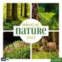 „Colours of Nature 2027“, „inklusive Jahresplaner“. Bilder: Wald, Farn, Moos, junges Tier im Sprung.