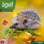 Text: "Igel", "Hedgehogs", "ART12", "Inklusive Jahresplaner 2027". Ein Igel in herbstlicher Landschaft mit gelben Blättern und Beeren.