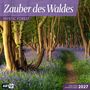 "Zauber des Waldes", "Mystic Forest", blühender Waldweg mit violetten Blumen, geschwungene Bäume, inklusive Jahresplaner 2027.