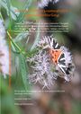 Walburga Eichhammer: Von der Co-Narzissmuspuppe zum Schmetterling, Buch