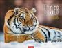 : Tiger Kalender 2026, KAL