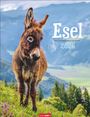 : Esel Kalender 2026, KAL