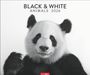 : Black & White Animals 2026, KAL