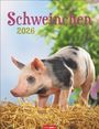 : Schweinchen Kalender 2026, KAL