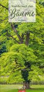 "Wunderwelt der Bäume. Mit Zitaten. 2027. Logo: WEINGARTEN." Ein großer, grüner Baum mit dichter Belaubung.