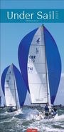 „Under Sail 2027“, darunter Segelboote mit blauen Segeln auf bewegtem Wasser.