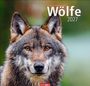"Wölfe 2027" oben, "WEINGARTEN" unten. Ein Wolf mit klarem Blick vor einem unscharfen, grünen Hintergrund.