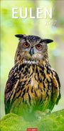 "EULEN 2027". Eine Eule mit großen, orangefarbenen Augen sitzt auf einem grünen, moosigen Ast.
