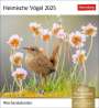 : Heimische Vögel Postkartenkalender 2025 - Wochenkalender mit 53 Postkarten, KAL
