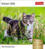 : Katzen Postkartenkalender 2026 - Wochenkalender mit 53 Postkarten, KAL